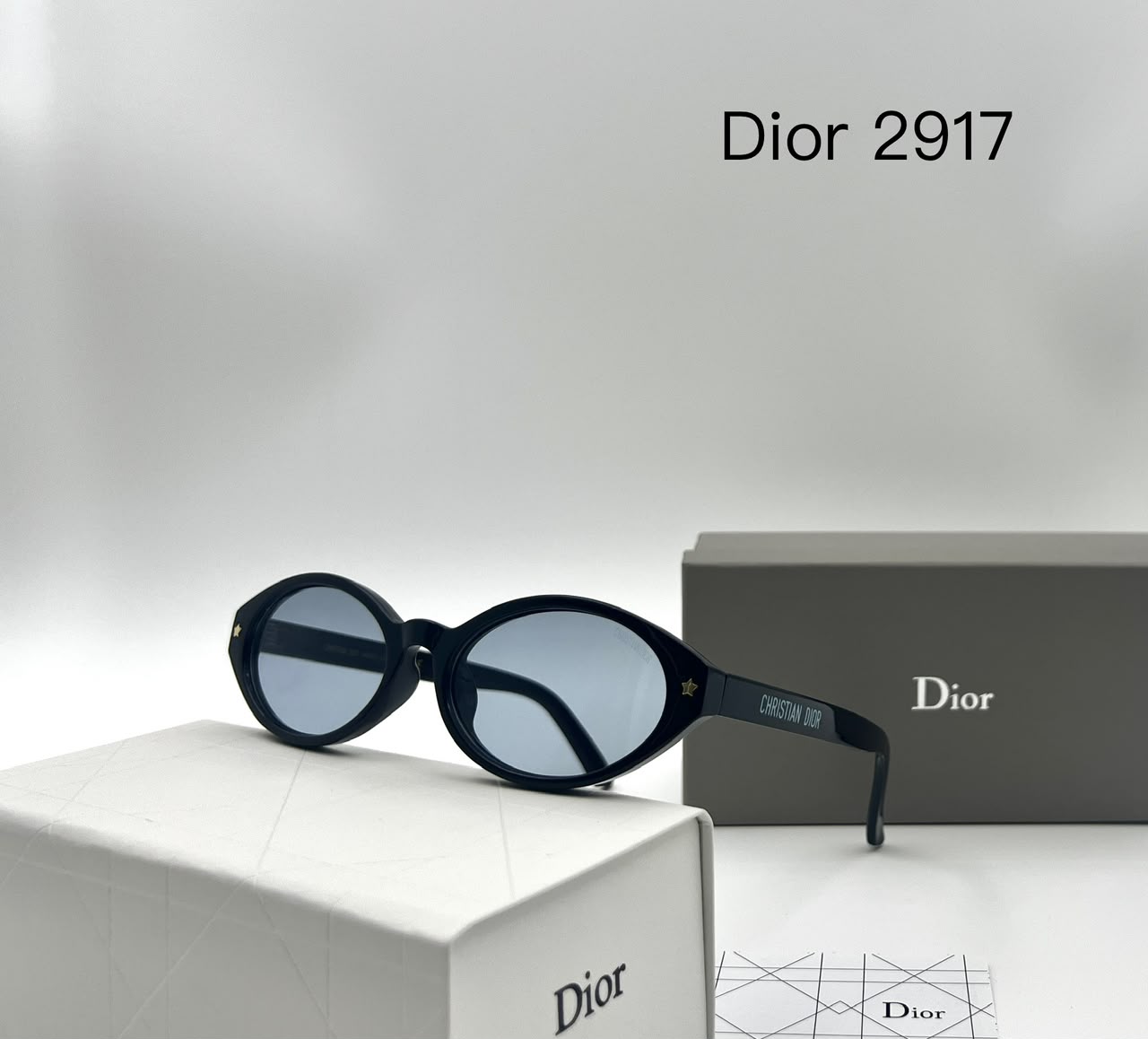 Dior 2917 Oval Black Sunglasses (Replica)